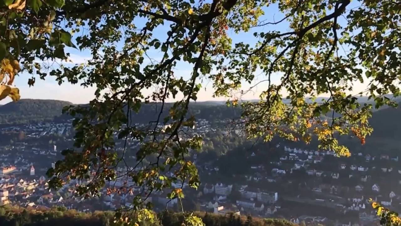 SWABIAN ALB - BRAUNHARDSBERG 969 M
