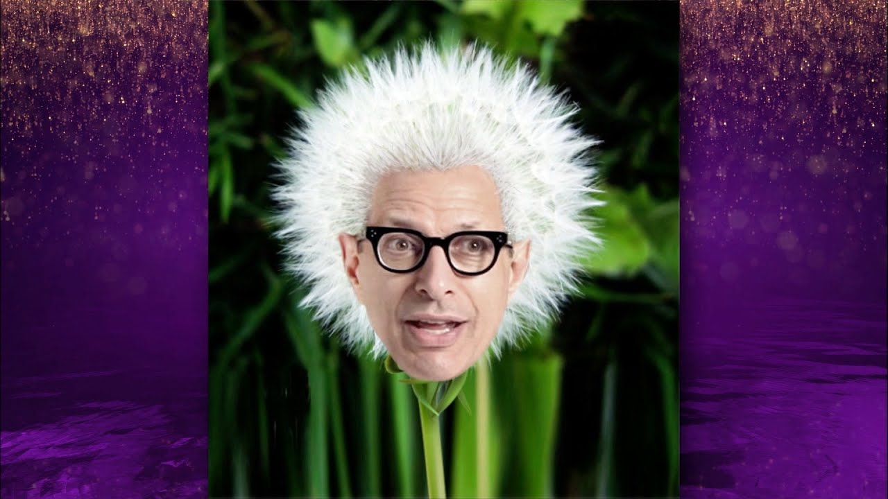 Jeff Goldblum reacts to his memes - The Graham Norton Show: Series 19 Episode 12 Preview - BBC