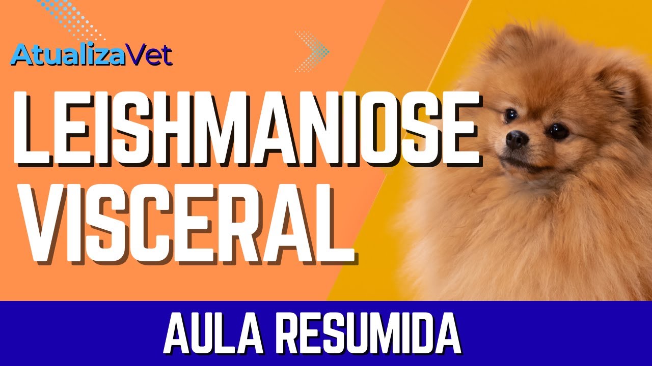 Leishmaniose visceral Parte 1 - AtualizaVet