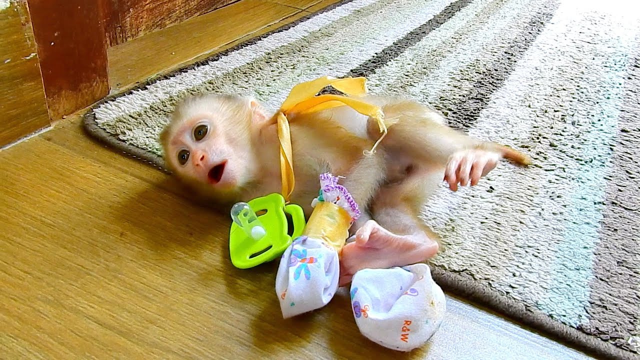 Poor baby Bunny beg daddy remve glove from her hands