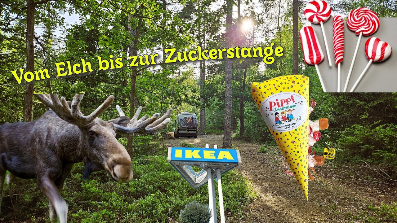 #2 Ist das der Süden Schwedens? Mit dem Camper durch Schweden...
