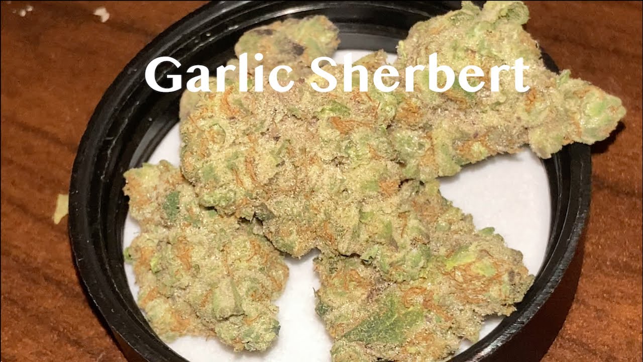 Garlic Sherbert - Strain Review #14