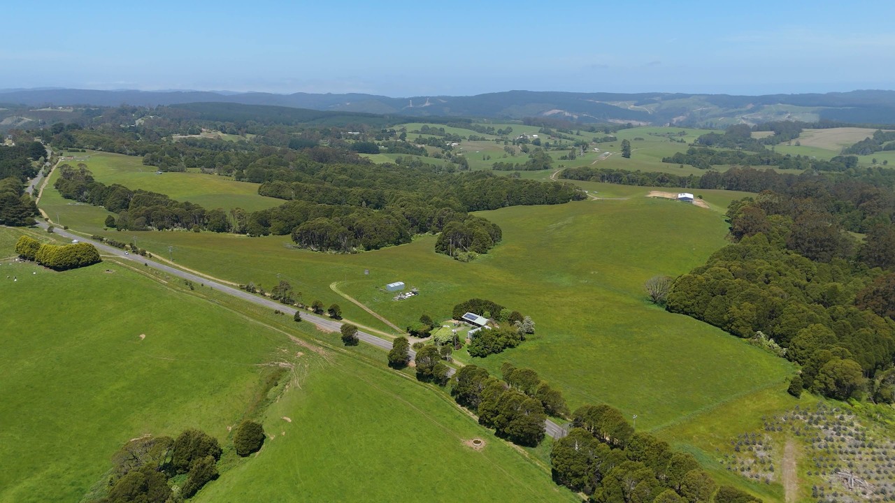 125 Beech Forest - Lavers Hill Road, Beech Forest