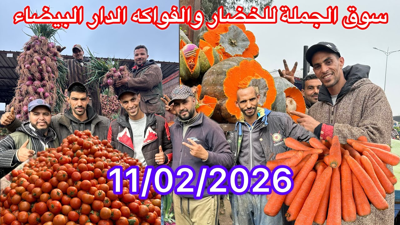 مباشرة من سوق الجملة بالدار البيضاء – الأربعاء 11 فبراير 2026 | شوفو أثمنة اليوم 🧅🌶️🥭🍅🥕🍏🍋🍓🫑