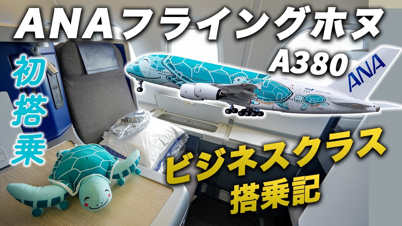 空飛ぶウミガメ！ANAフライングホヌ✈️ビジネスクラス搭乗記｜ホノルル→成田