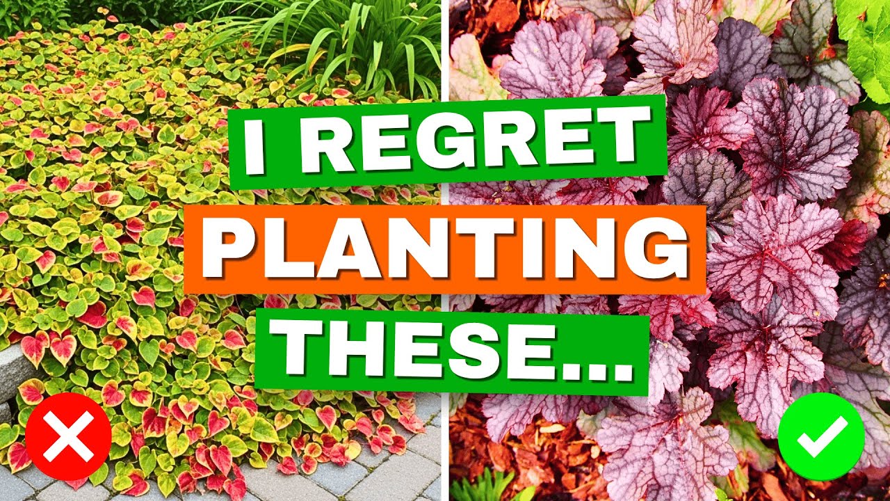 7 Plants Gardeners Regret Planting (and Why You Might Too...) 😱
