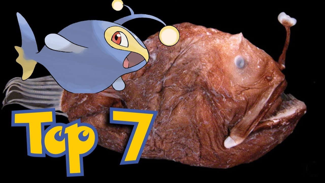 ★ Top 7 ★ Pokemon, die auf unheimlichen Lebewesen aus der echten Welt basieren