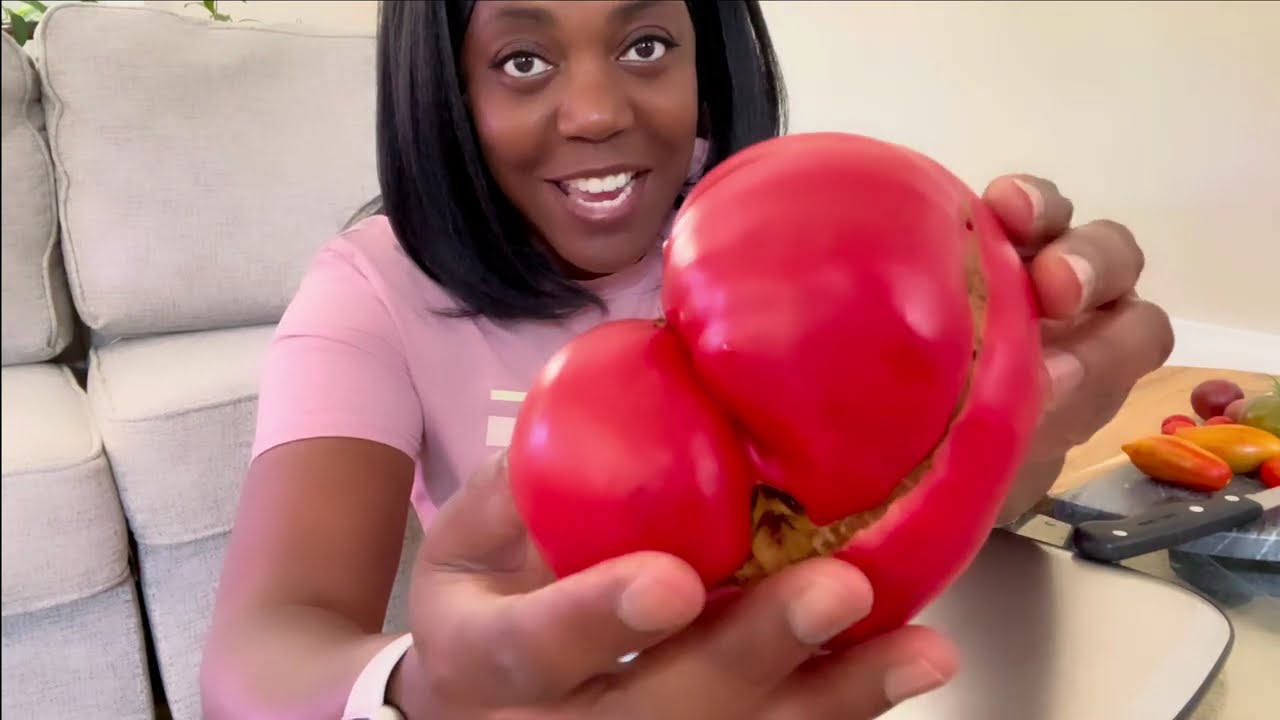 Tomato Taste Test #5 | 9 Varieties