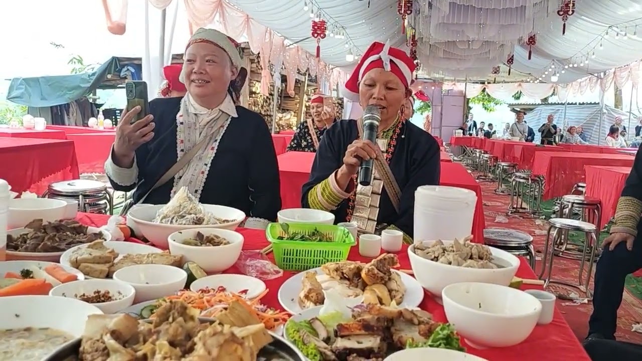 Yêu miền song ca