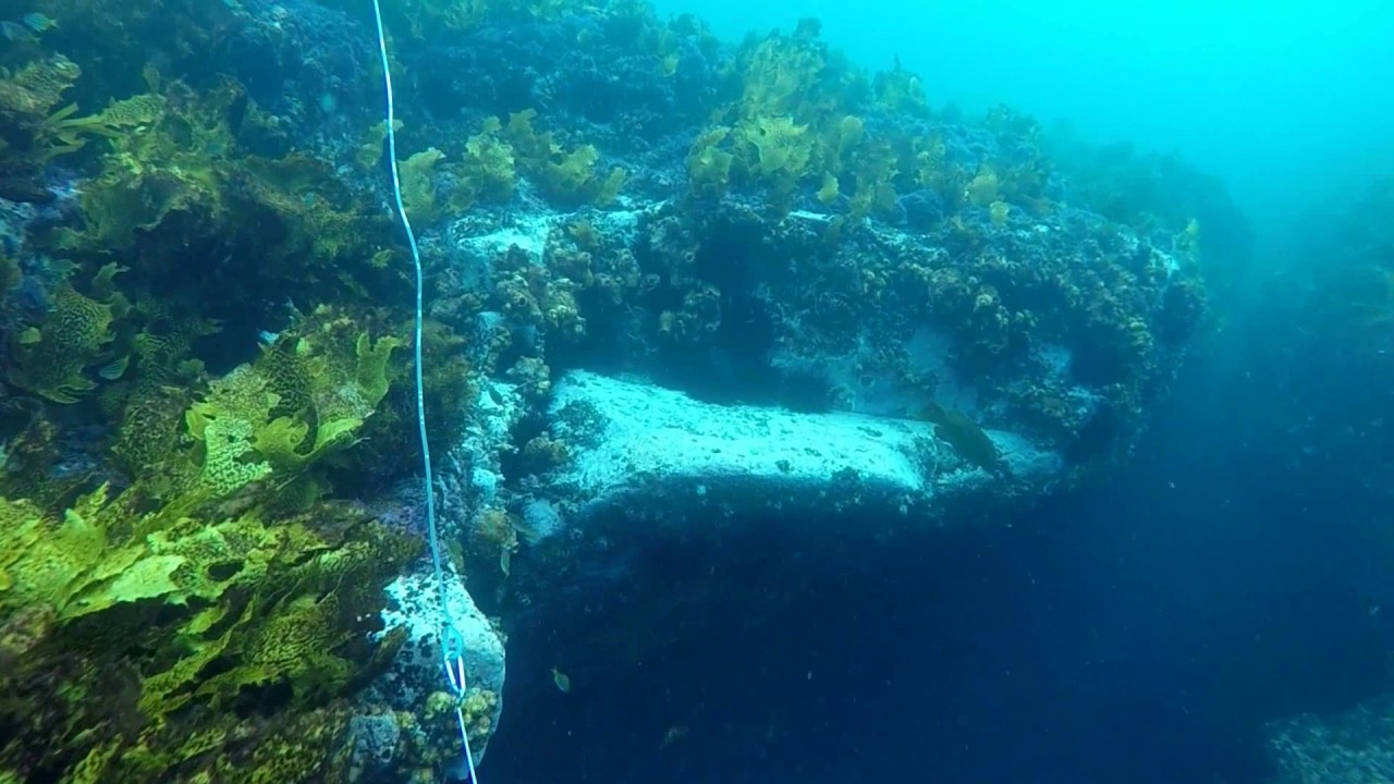 SPEARFISHING KIAMA AREA NSW