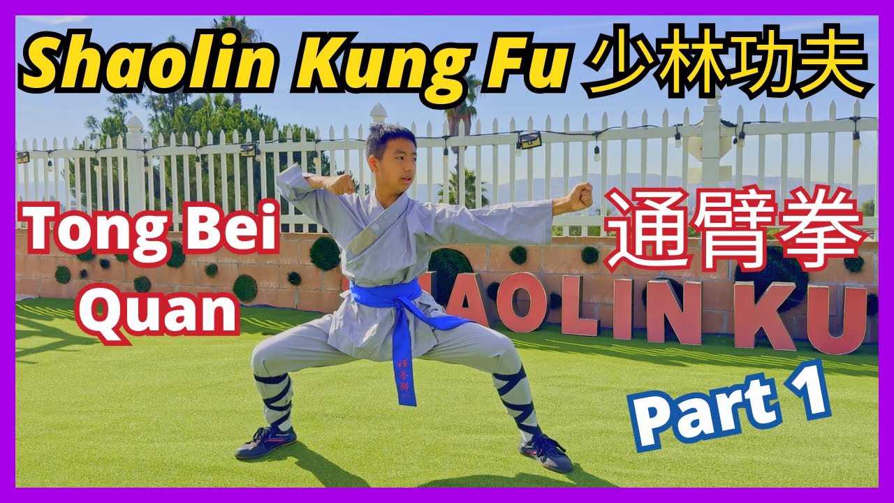 Tong Bei Quan (Part 1) - Shaolin Kung Fu Tutorial 🤜 #少林功夫 #少林通臂拳 #拳法 #功夫教學 示範 #通臂拳 上半部 教學