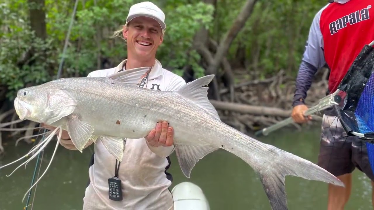 WEIPA FISHING 2022
