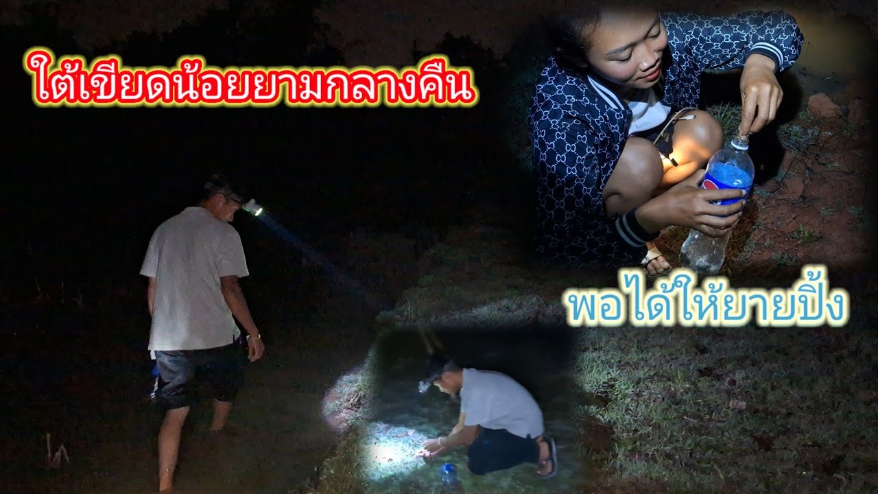 ออกหาของกินยามกลางคืนให้ยาย จะหมานหรือเปล่า 25 กุมภาพันธ์ ค.ศ. 2026