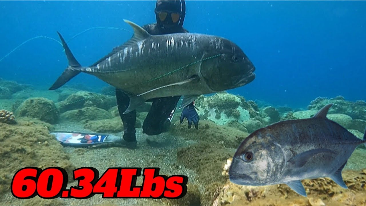 SPEARFISHING PHILIPPINES || MONSTER GIANT TREVALLY || BANTON ROMBLON || PB!🎯🎯🎯😱😱😱