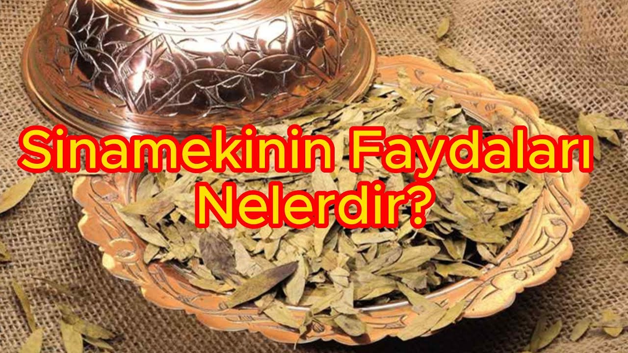 Sinamekinin Faydaları Nelerdir?