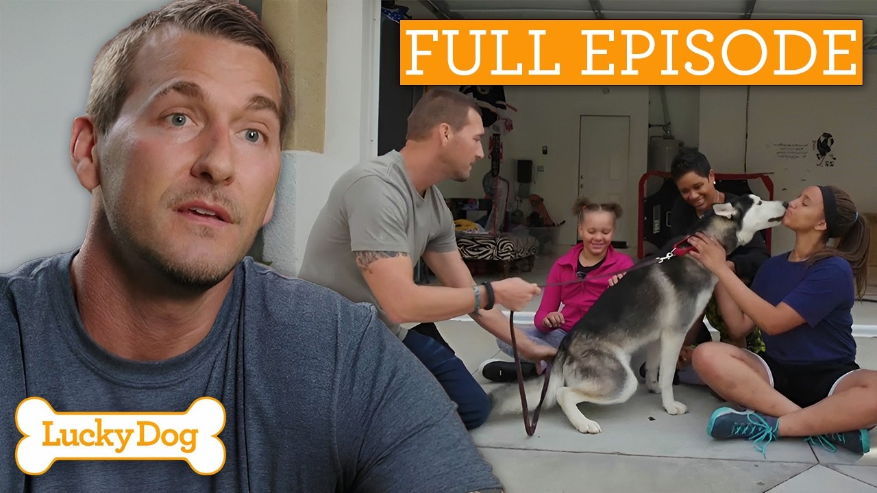 Neglected Husky Finally Finds The Love He Deserves | Full Episode S4 Ep21