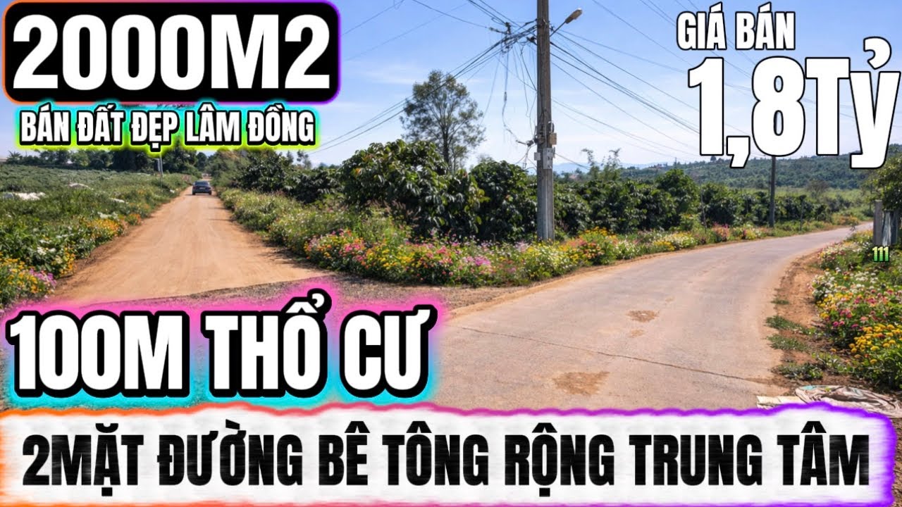 🔴Bán đất đẹp lâm đồng hơn 2000m2 nguồn thu sẵn 100m thổ cư 2mặt đường bê tông rộng Lh 0379 590 939