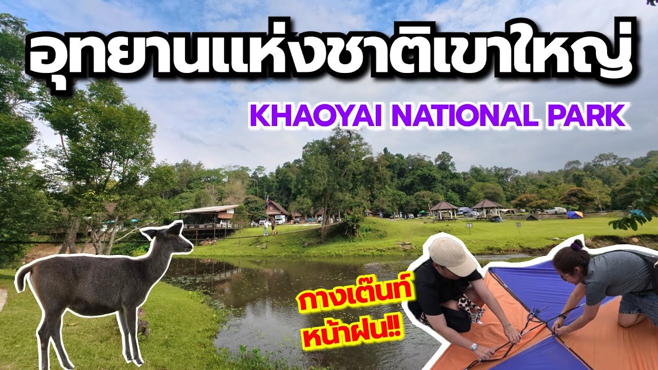EP.1 กางเต๊นท์​หน้าฝน!! อุทยาน​แห่งชาติ​เขาใหญ่ 2 วัน 1 คืน | Khaoyai​ National​ Park Thailand​
