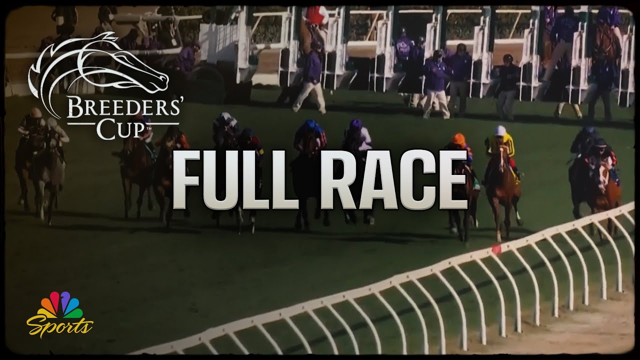 Breeders' Cup 2025: Juvenile Turf Sprint (Full Race) | NBC Sports