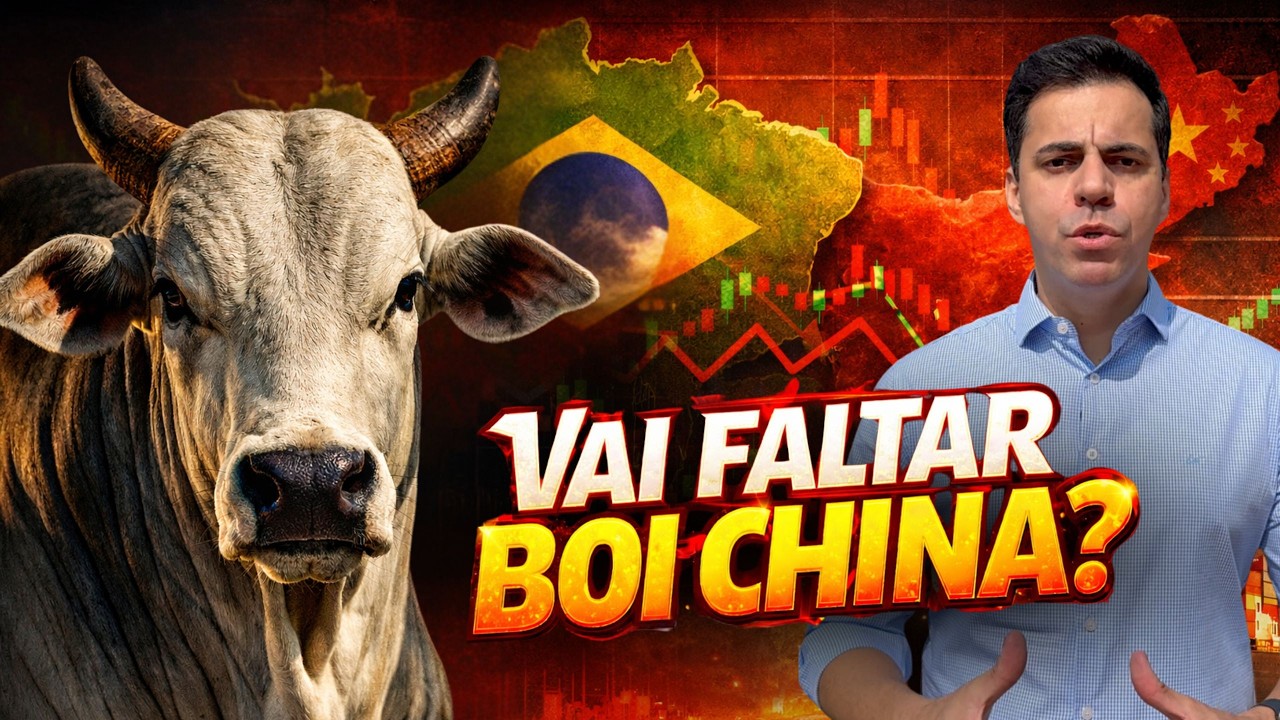 BOI SAÚDE - COMO PRODUZIR ANIMAIS MAIS PESADOS?