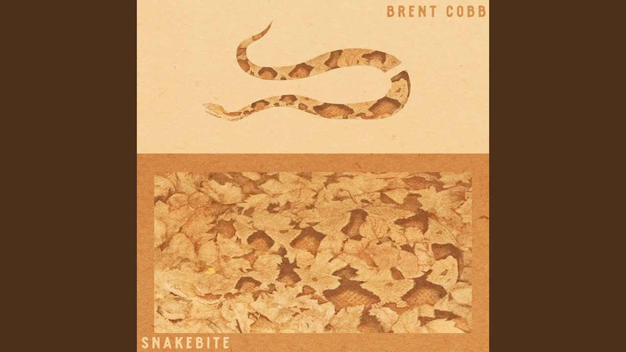 Snakebite
