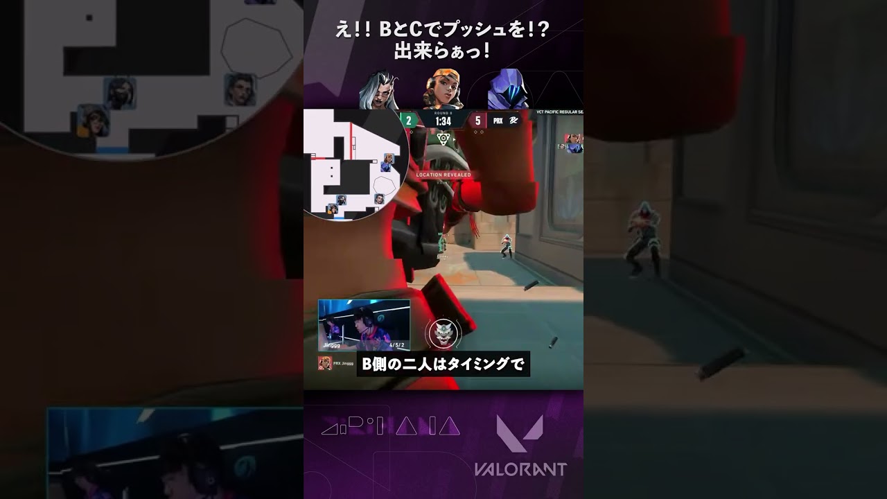 ロータス定番 Pacificプッシュを解説！