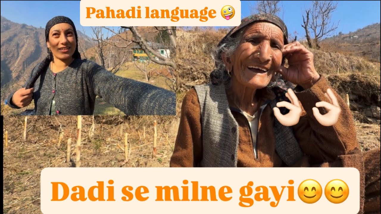 Aaj dadi se milne gayi😊||Pura vlog pahadi language main bana hai😜||Ronie & Champ||Themoonlight_vlogs