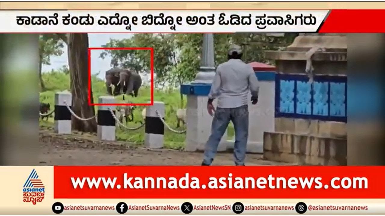 ಕಬಿನಿಯಲ್ಲಿ ಕಾಡಾನೆಗಳ ದಾಂಧಲೆ: ಪ್ರಾಣ ಉಳಿಸಿಕೊಳ್ಳಲು ಓಡಿದ ಜನ | Wild Elephants In Kabini | Suvarna News