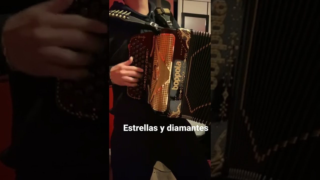 #estrellasydiamantes #juanvillareal #loscachorros #boppola #katpendex #loskefes #acordionista