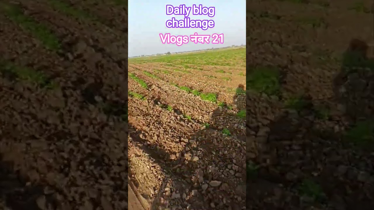 daily vlog challenge vlogs नंबर 21 🙏