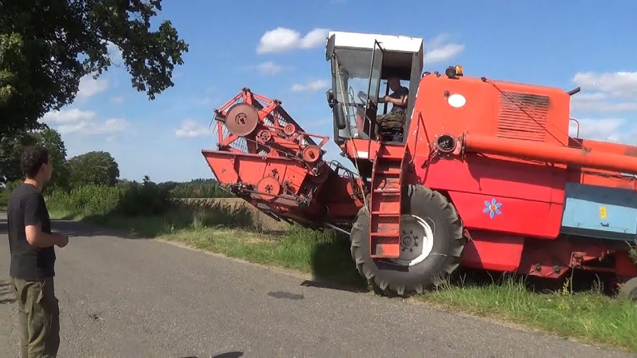 Żniwa w pełni wszyscy koszą wszystko Kwitnący Bizon Z056