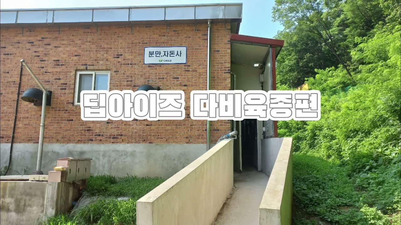 딥아이즈(DeepEyes) 고객 인터뷰 '다비육종편'