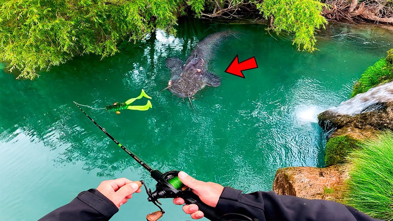 Le lac monte et fait sortir ses monstres ! On vit un moment de folie &agrave; la p&ecirc;che...