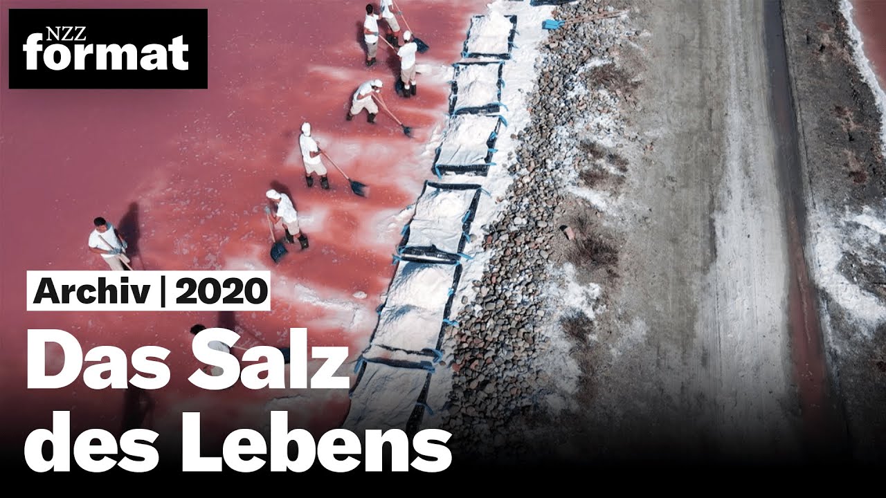 Das Salz des Lebens I Ausschnitt einer Dokumentation von NZZ Format.