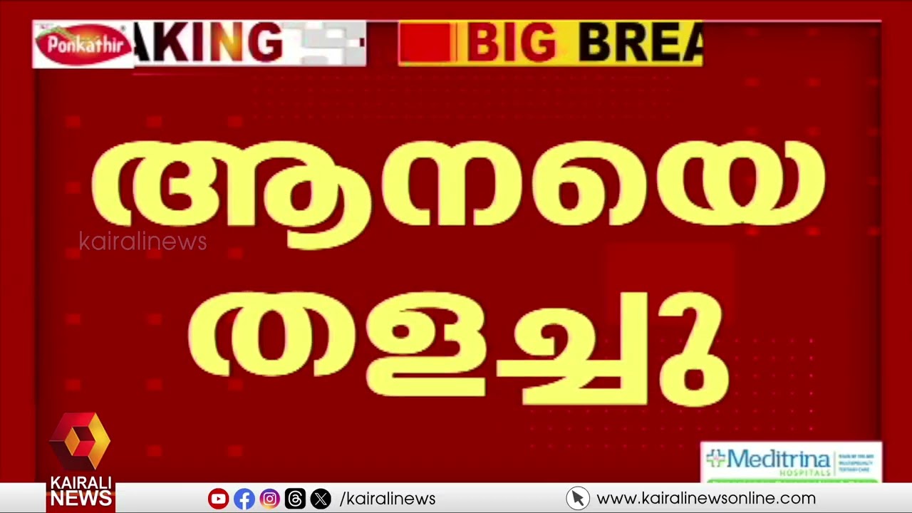 തൃപ്പൂണിത്തുറ ക്ഷേത്രത്തിൽ ആനയിടഞ്ഞ് ഒരാൾക്ക് പരുക്ക് | TRIPUNITHURA | ELEPHANT ATTACK