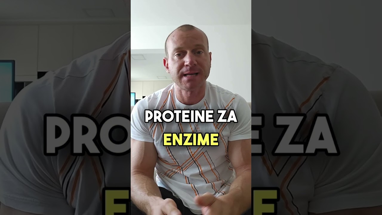 Apsorpcija proteina po obroku