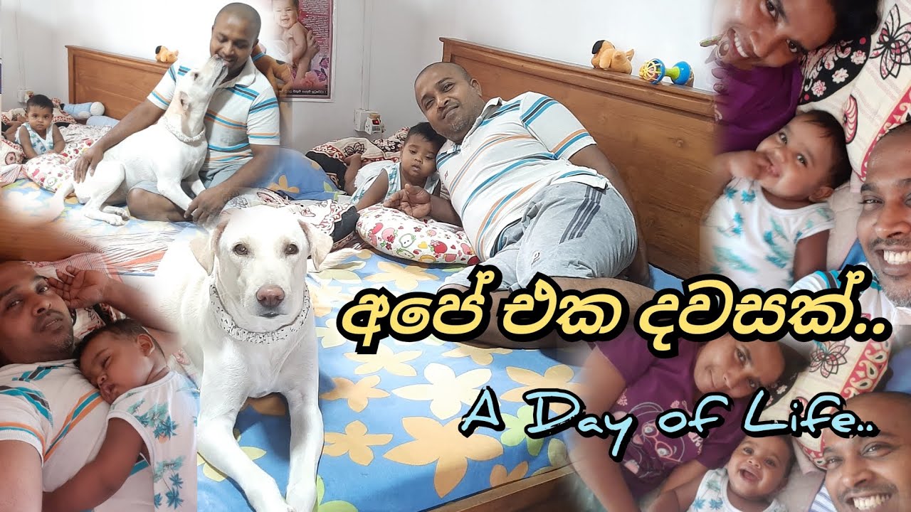 A Day of life..| Nekii with Sadam | The Smart Dog Nekii | 2023 04 28