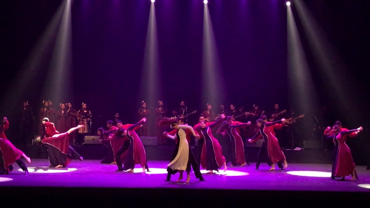 BAFOTE - VIOLETA PARRA - GALA 2017