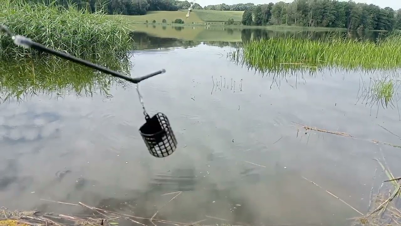Spławik i koszyk. Powrót do początku wędkowania.