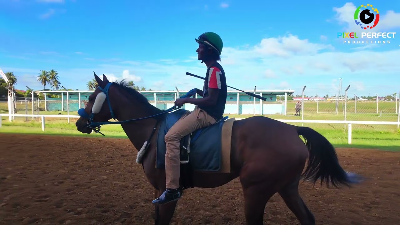 At The Track Sunday December 7th 2025