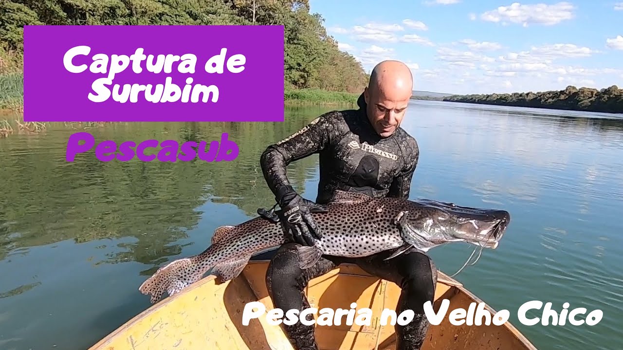 Rio São Francisco - captura surubim #pescasub
