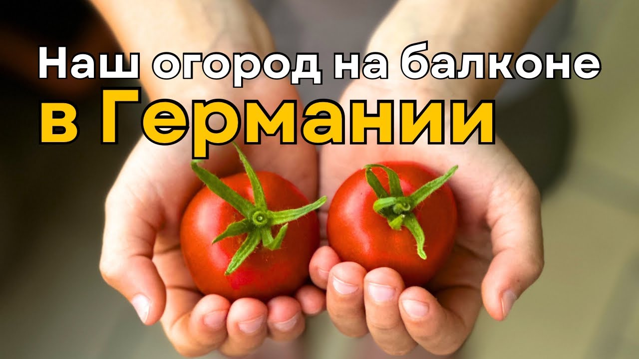 2. Жизнь в Германии | Новый сезон на балконе, покупки растений и подарок мечты на 8 марта