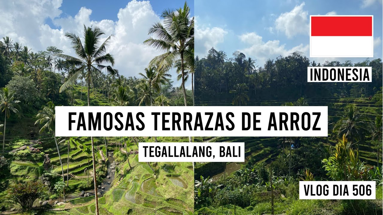 🇮🇩FAMOSAS TERRAZAS DE ARROZ EN BALI | TEGALLALANG Y CAFE DE LUWAK | TRAVEL VLOG 506 | Manu Echeverri