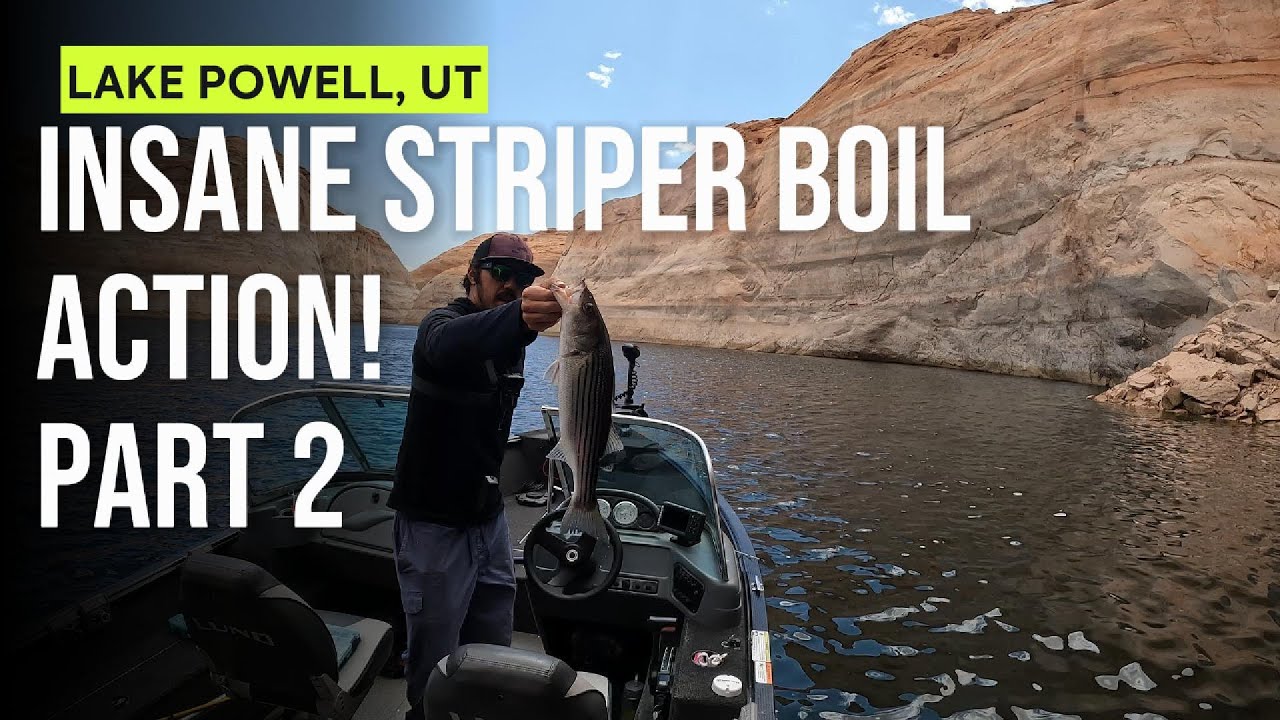 Lake Powell, UT Insane Striper Boil Action! Part 2
