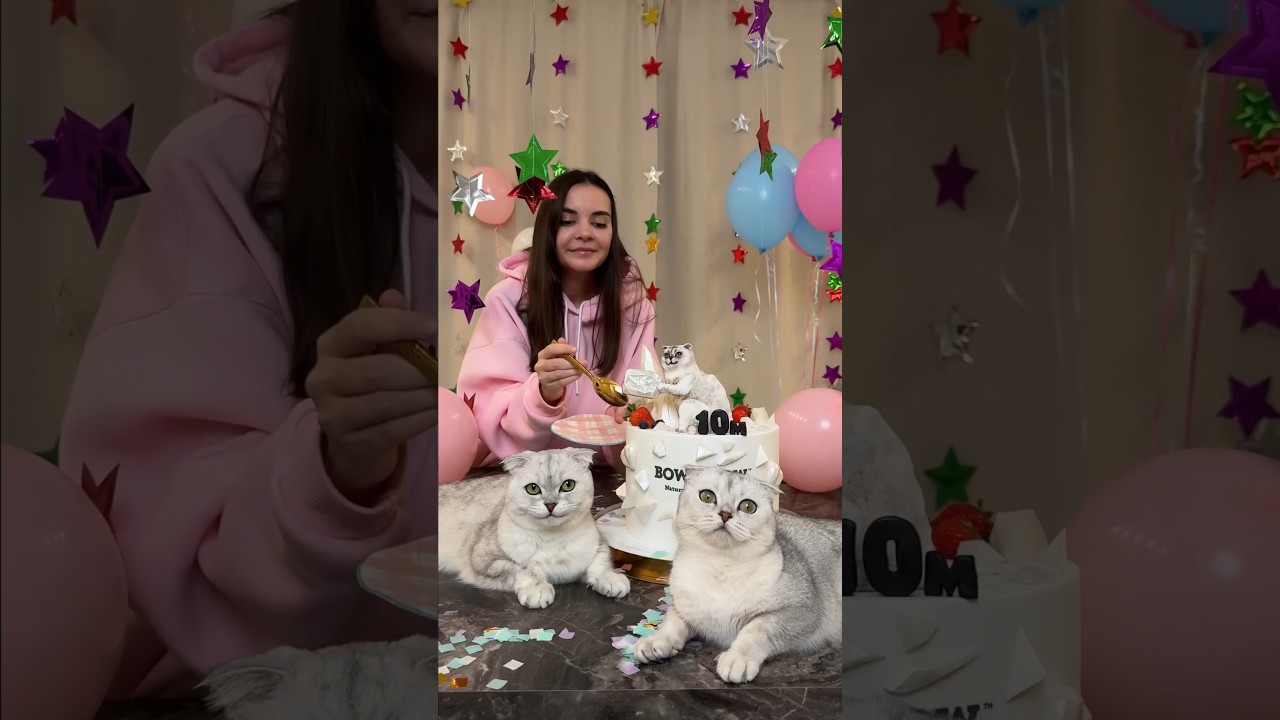 Спасибо вам за 10 миллионов❤️❤️❤️ Cпасибо Bowl Wow за такой подарок😻