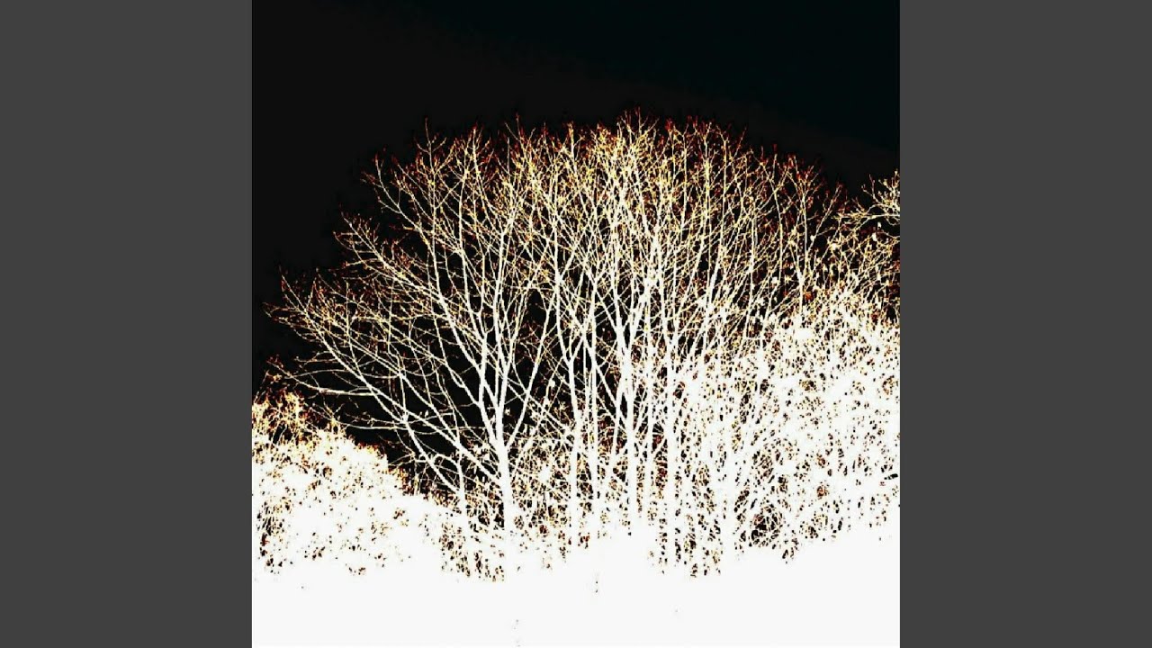 Weight of the Dark