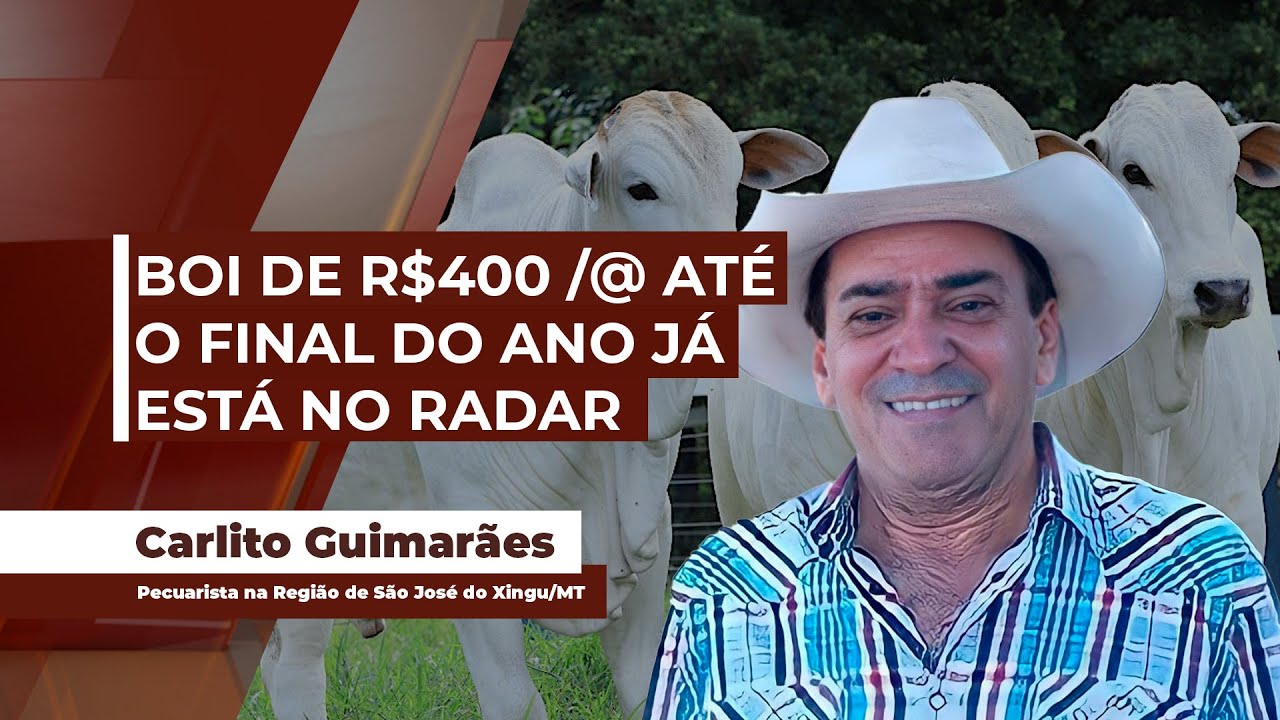 Boi tem fôlego para novas altas até o final do ano com arroba testando os R$400, alerta pecuarista