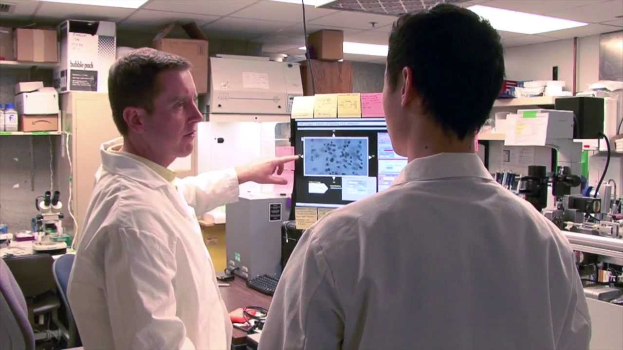 Undergraduate Research at UW Engineering