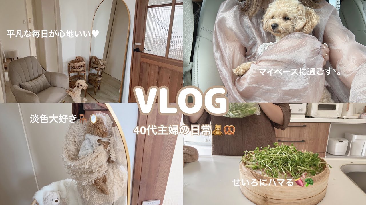 【主婦vlog】40代主婦の日常🥨日常をマイペースに過ごす🧺せいろにハマる🍠🥦