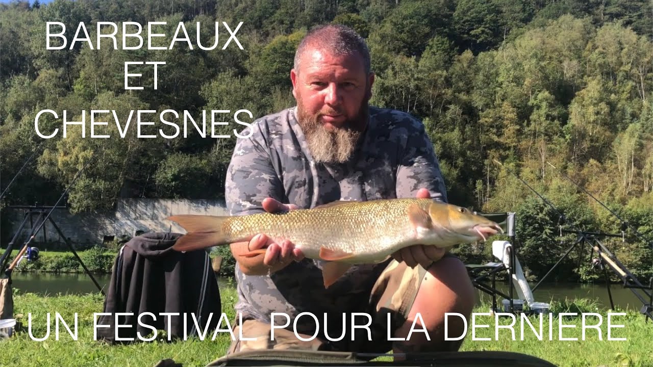 Une belle p&ecirc;che de barbeaux et chevesnes au feeder en rivi&egrave;re Meuse pour ce dernier &eacute;pisode HD 1080p